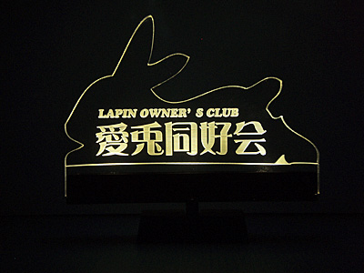 LED�Ɩ��v���[�g�E������